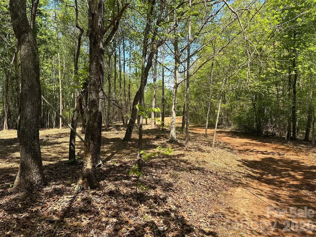00 Stikeleather Road Hiddenite NC 28636