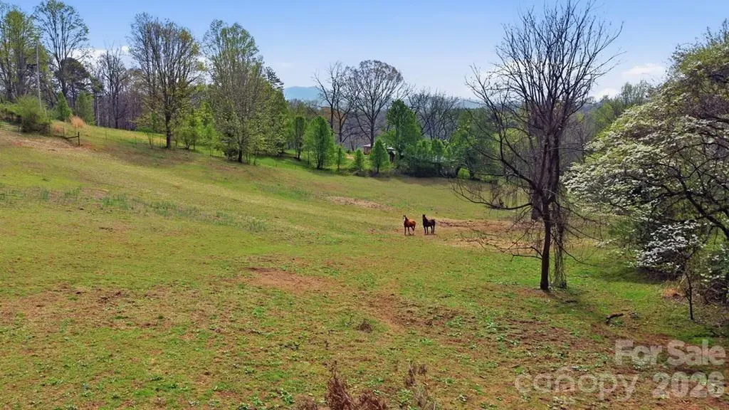 337 Town Mountain Road Hayesville NC 28904