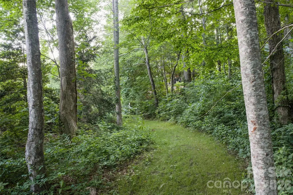 2 Cherokee Orchard Court Fairview NC 28730