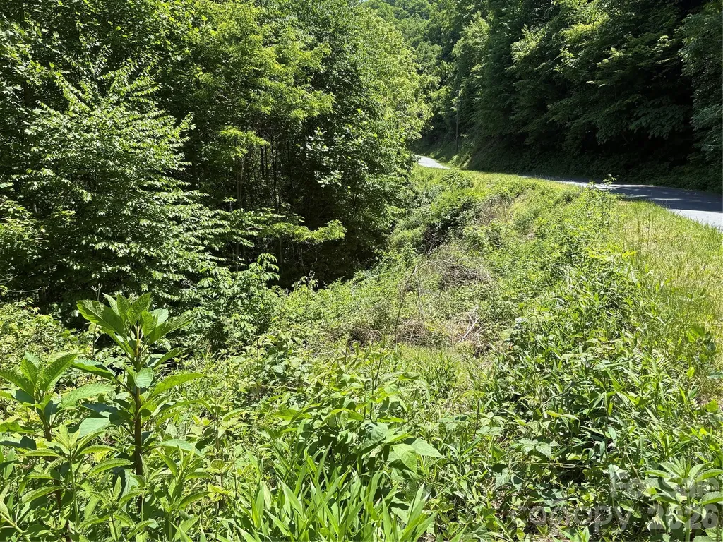 0 Timber Estates Road Bryson City NC 28713