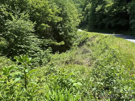 0 Timber Estates Road Bryson City NC 28713