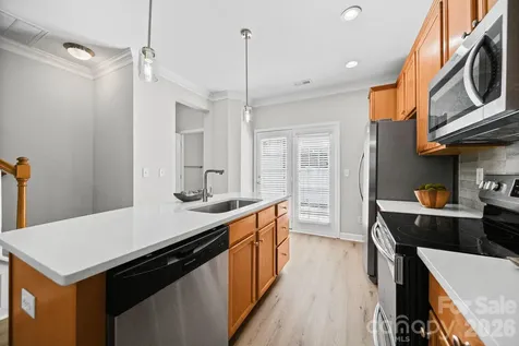 12719 Persimmon Tree Drive Charlotte NC 28273