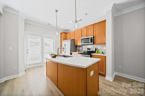 12719 Persimmon Tree Drive Charlotte NC 28273