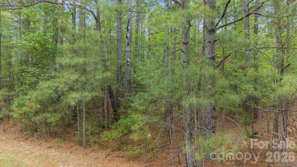 Vacant Davis Haywood Road Mount Gilead NC 27306