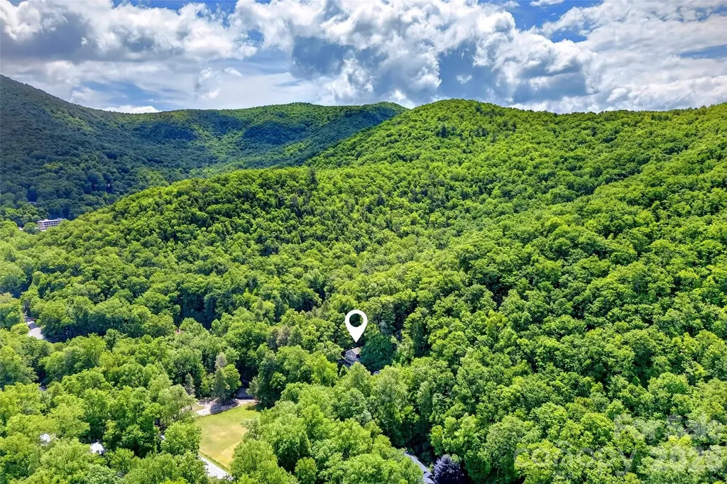 238 Texas Spur Road Montreat NC 28757