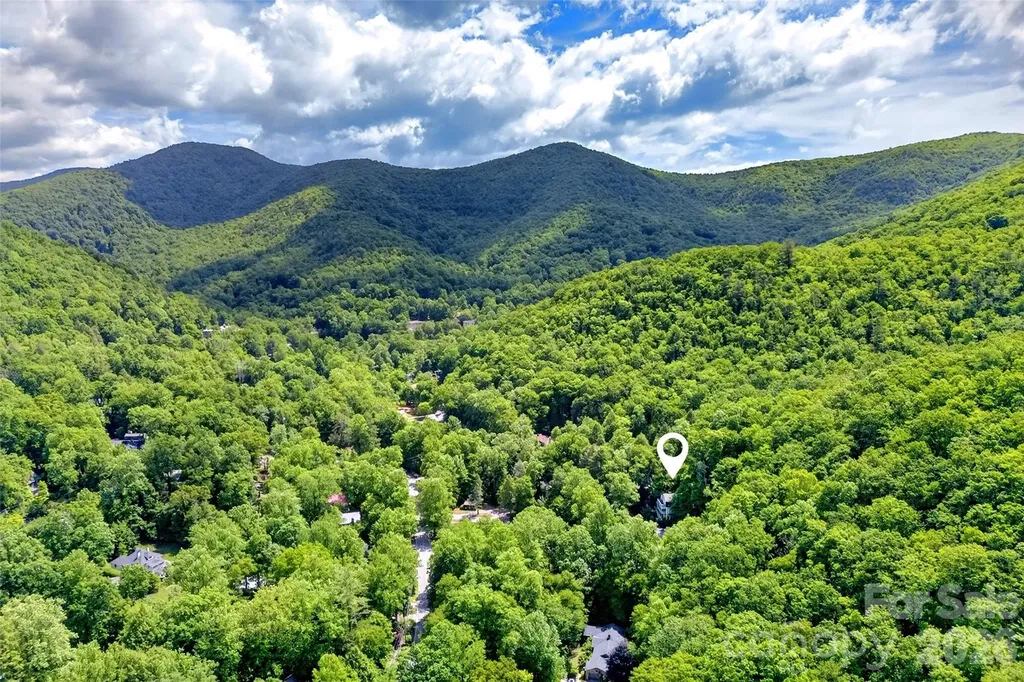 238 Texas Spur Road Montreat NC 28757