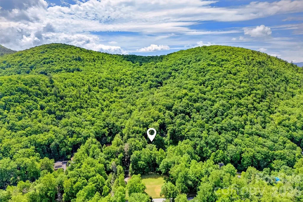 238 Texas Spur Road Montreat NC 28757