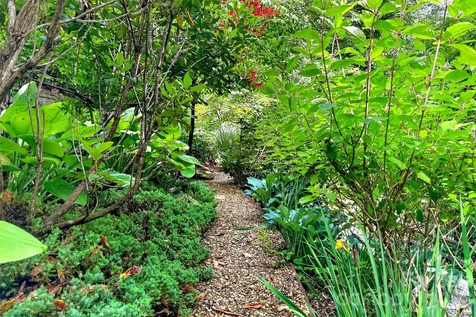 238 Texas Spur Road Montreat NC 28757
