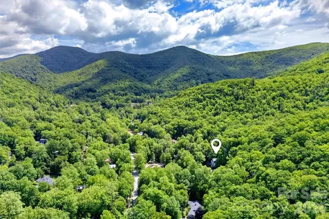 238 Texas Spur Road Montreat NC 28757