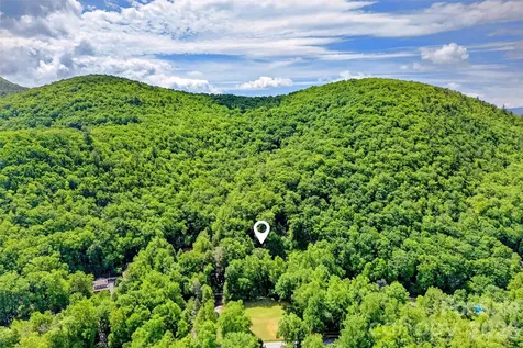 238 Texas Spur Road Montreat NC 28757