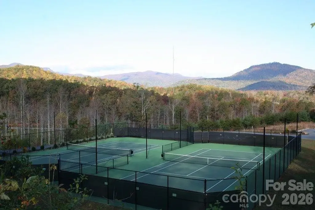 121 Deer Jump Trail Lake Lure NC 28746