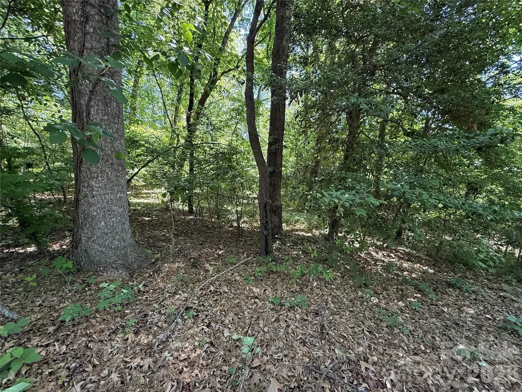 4446 Marion Drive Terrell NC 28682