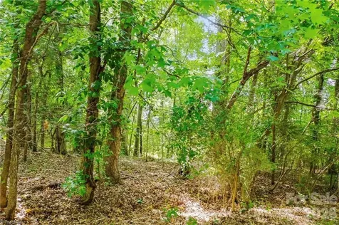 4446 Marion Drive Terrell NC 28682