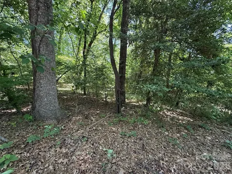 4446 Marion Drive Terrell NC 28682