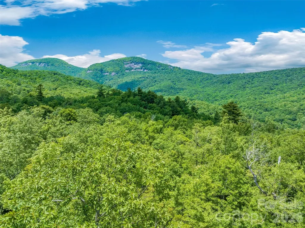2 Cardinal Drive W Lake Toxaway NC 28747