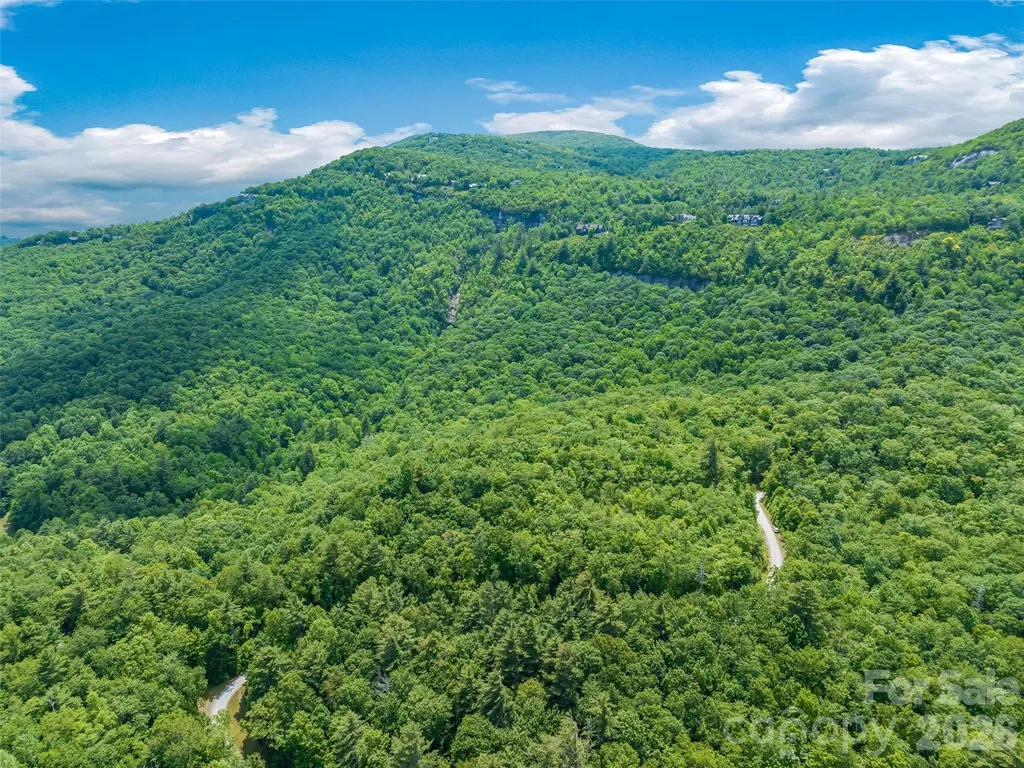 2 Cardinal Drive W Lake Toxaway NC 28747