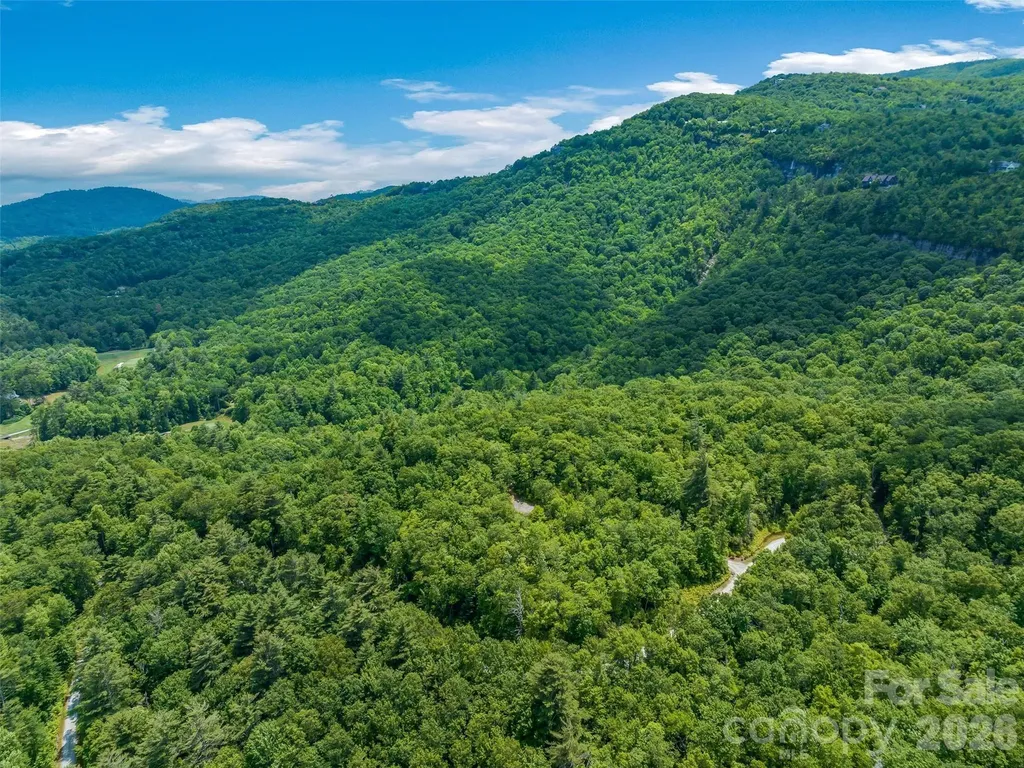 2 Cardinal Drive W Lake Toxaway NC 28747
