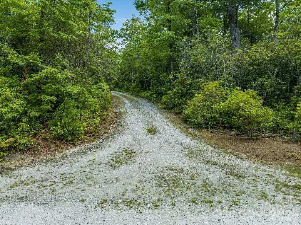 2 Cardinal Drive W Lake Toxaway NC 28747
