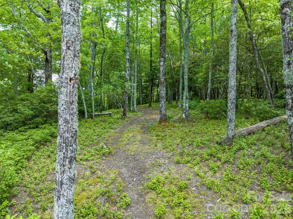 2 Cardinal Drive W Lake Toxaway NC 28747