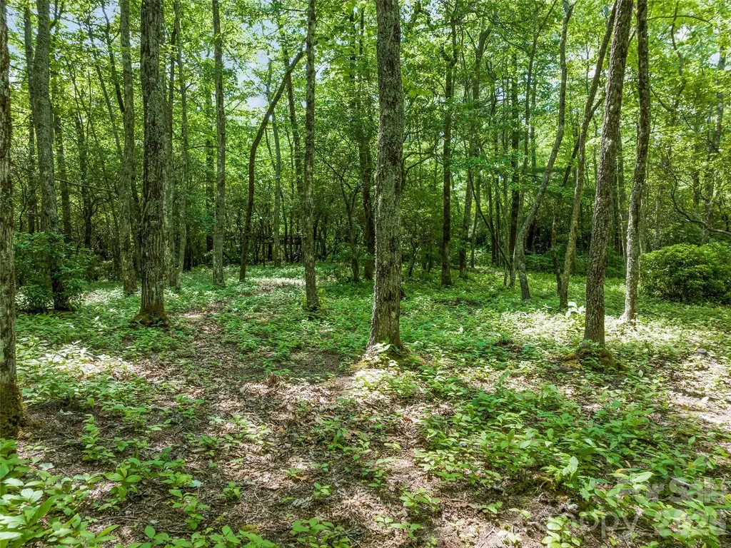 2 Cardinal Drive W Lake Toxaway NC 28747