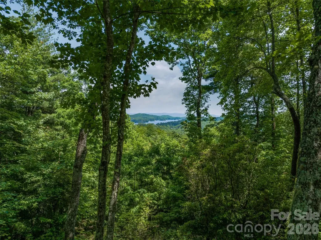 2 Cardinal Drive W Lake Toxaway NC 28747