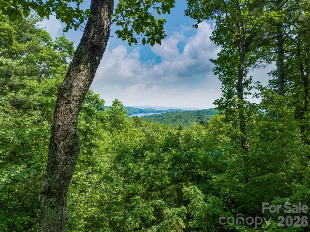 2 Cardinal Drive W Lake Toxaway NC 28747