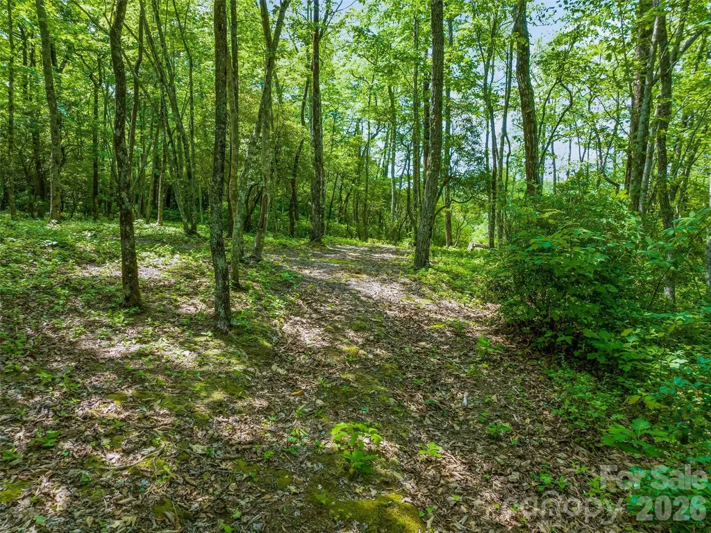 2 Cardinal Drive W Lake Toxaway NC 28747