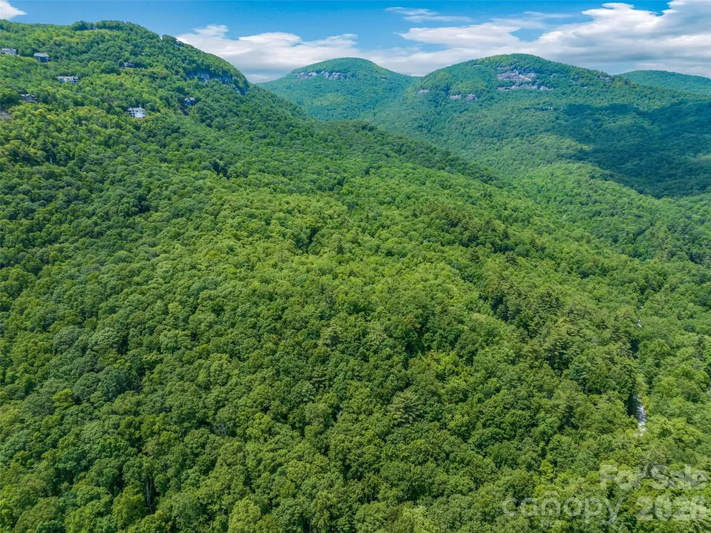 2 Cardinal Drive W Lake Toxaway NC 28747