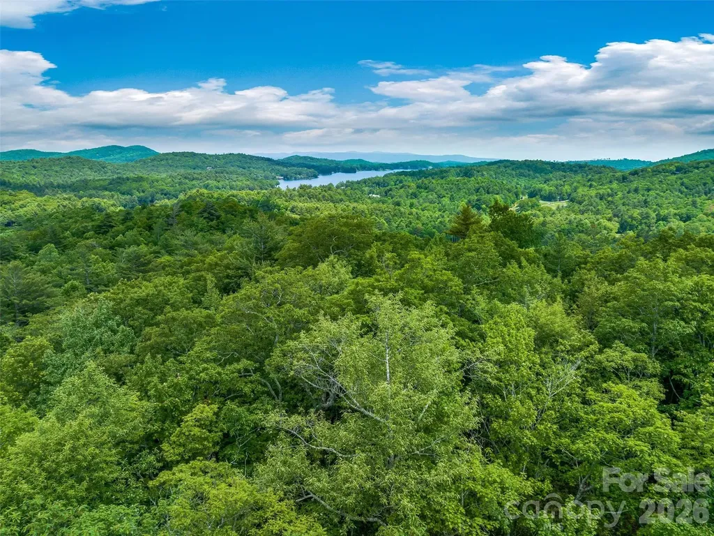 2 Cardinal Drive W Lake Toxaway NC 28747