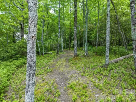 2 Cardinal Drive W Lake Toxaway NC 28747