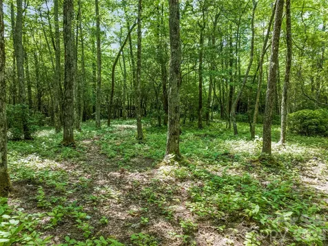 2 Cardinal Drive W Lake Toxaway NC 28747