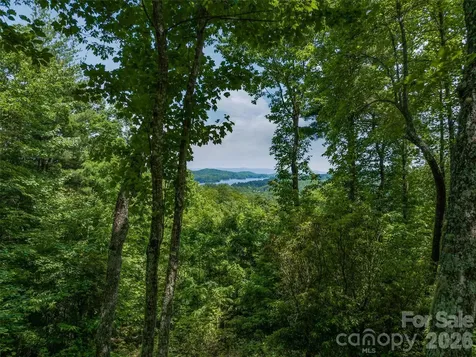 2 Cardinal Drive W Lake Toxaway NC 28747