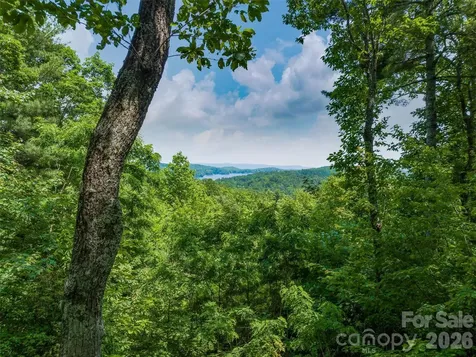 2 Cardinal Drive W Lake Toxaway NC 28747