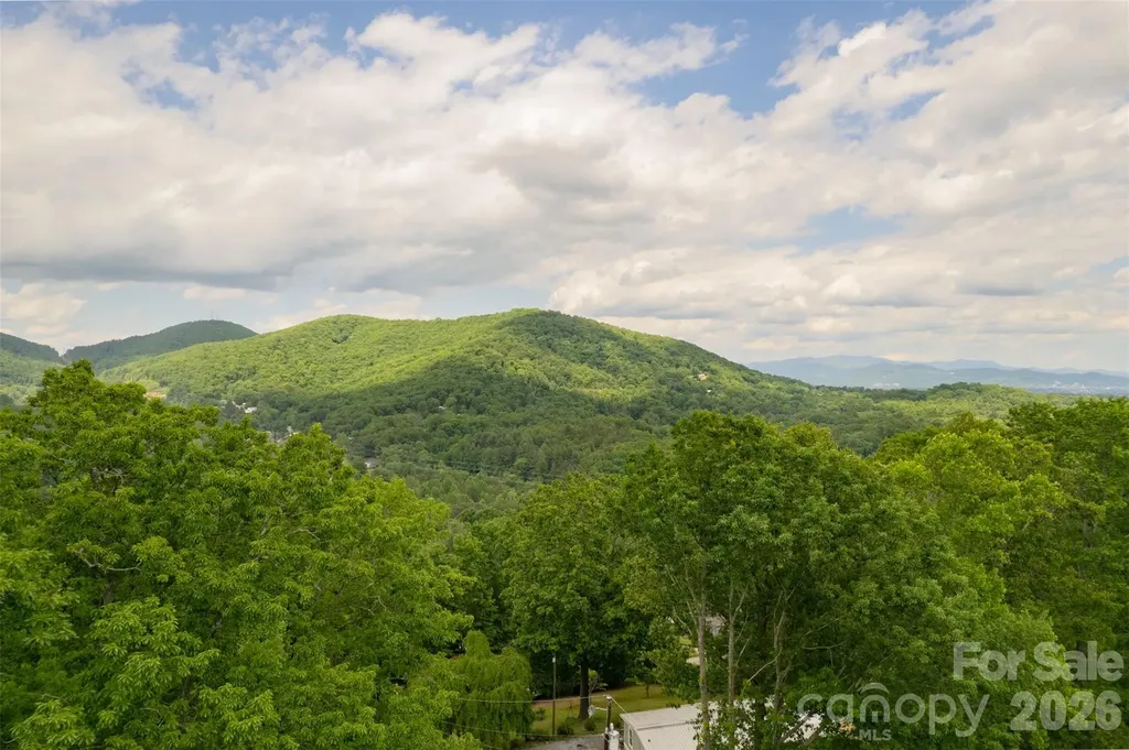 30 Gertrude Lane Candler NC 28715