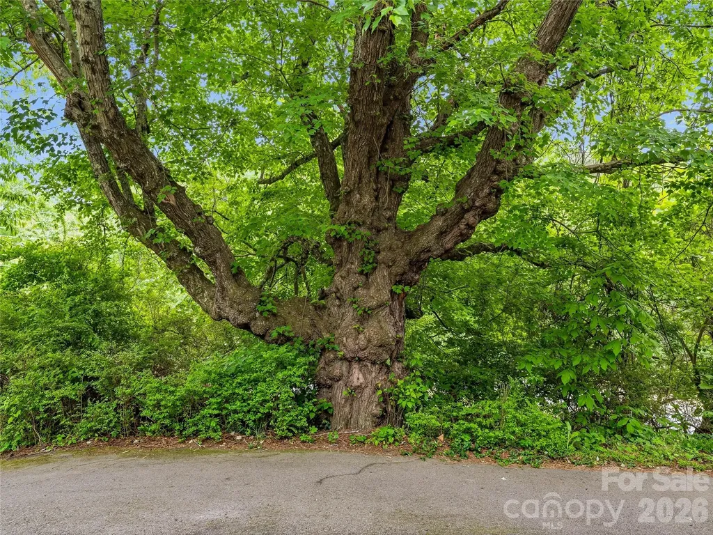 506 Johnston School Road Asheville NC 28806