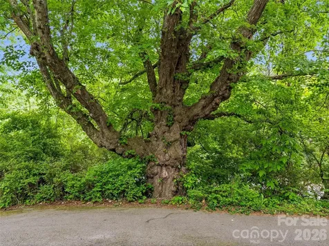 506 Johnston School Road Asheville NC 28806