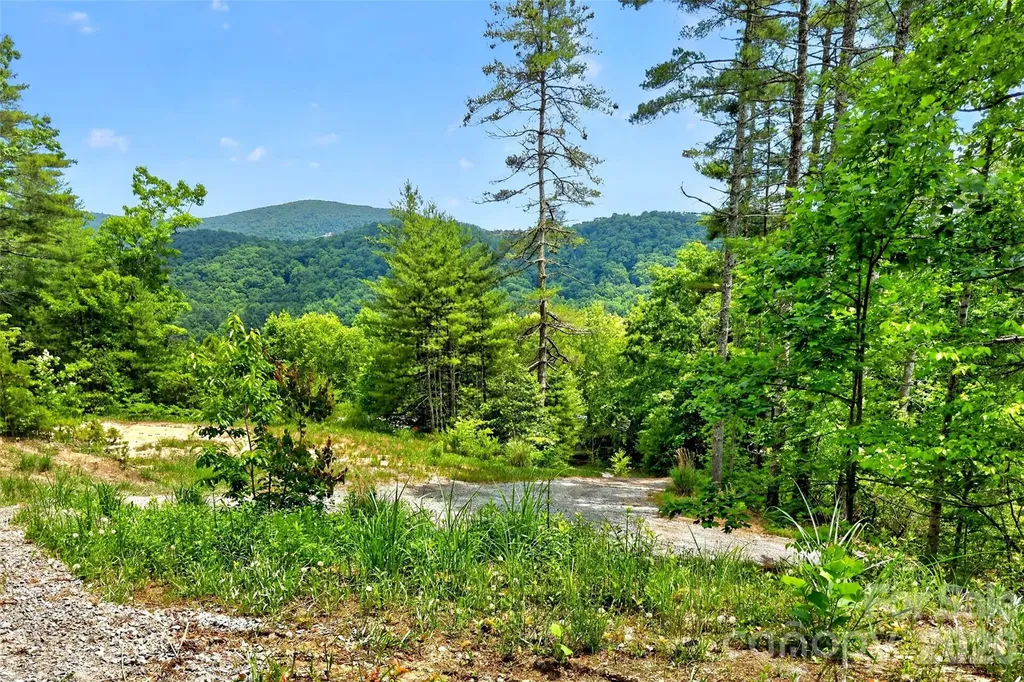 259 East Lester Lane Hendersonville NC 28739
