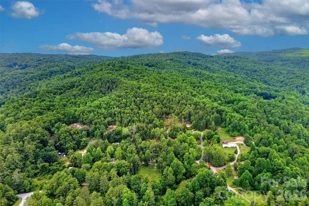 259 East Lester Lane Hendersonville NC 28739