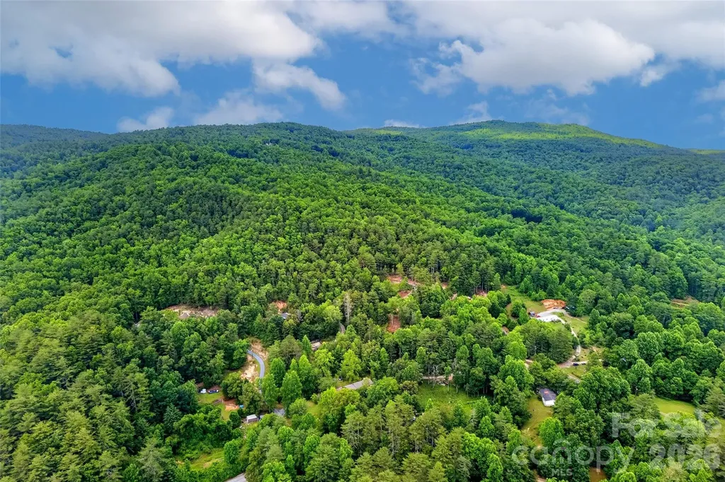 259 East Lester Lane Hendersonville NC 28739