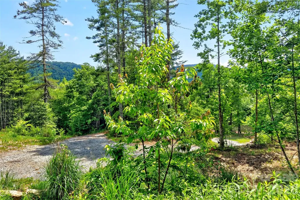 259 East Lester Lane Hendersonville NC 28739