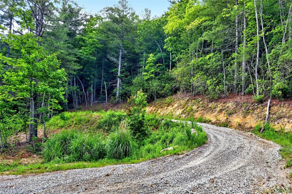 259 East Lester Lane Hendersonville NC 28739