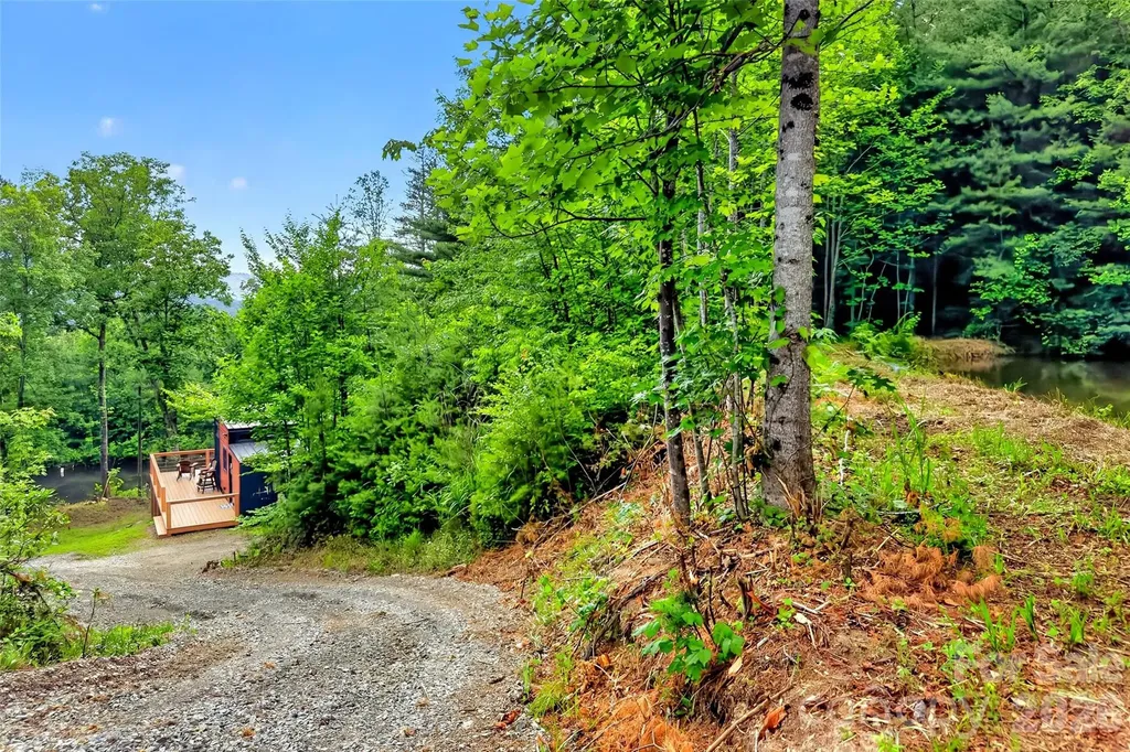 259 East Lester Lane Hendersonville NC 28739
