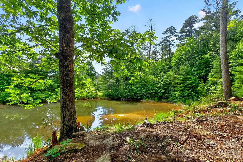259 East Lester Lane Hendersonville NC 28739