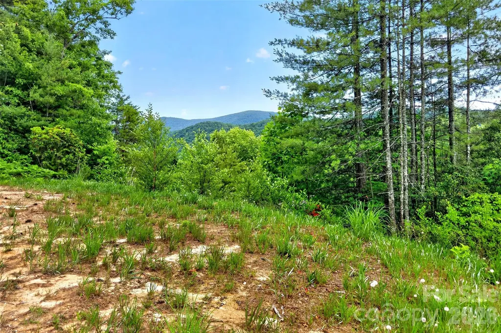 259 East Lester Lane Hendersonville NC 28739