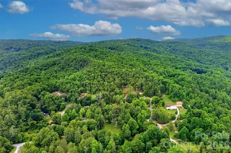 259 East Lester Lane Hendersonville NC 28739