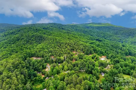 259 East Lester Lane Hendersonville NC 28739