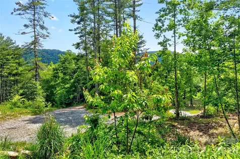 259 East Lester Lane Hendersonville NC 28739