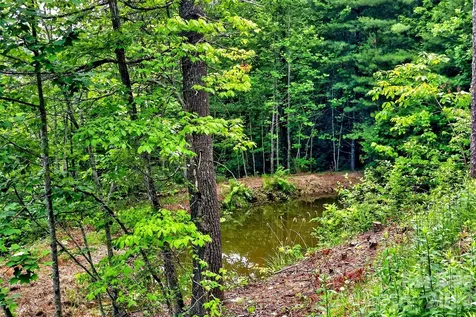259 East Lester Lane Hendersonville NC 28739