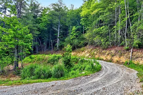 259 East Lester Lane Hendersonville NC 28739