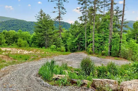 259 East Lester Lane Hendersonville NC 28739